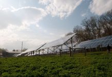 Citizens’ Assembly: Lack of political will delay low-carbon transition