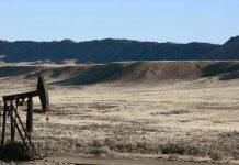 Shell, BP Climate Disclosures ‘Just a Marketing Tool’ — Report