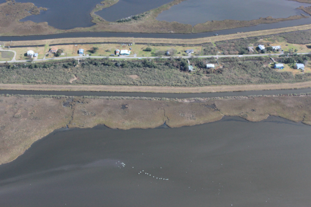 Isle de Jean Charles
