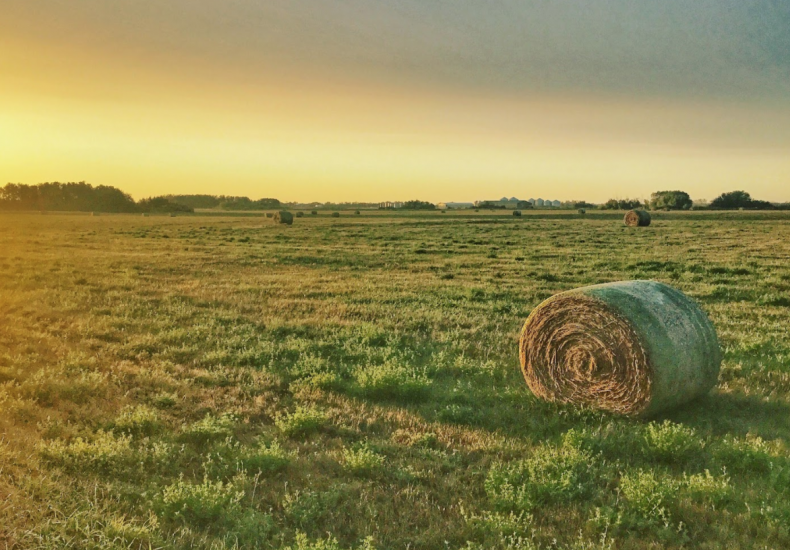 Saskatchewan, H2S, Price of Oil, Oxbow, pumpjack