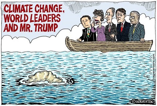 2017 Toon 46