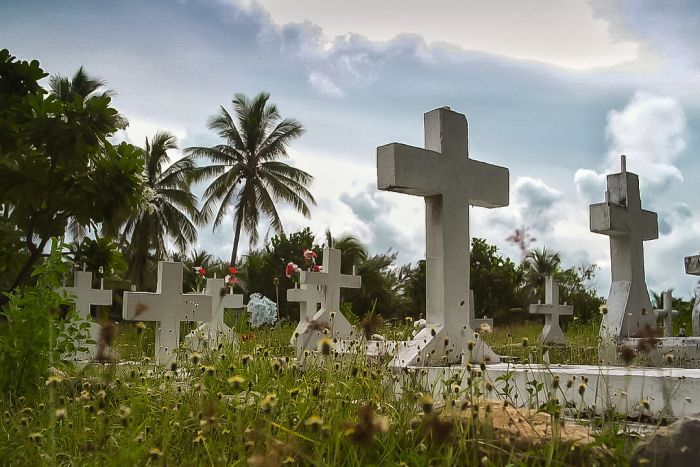 Cross-shaped grave stones amid palm tress on Enewetak Atoll, Marshall Islands, October 2017.