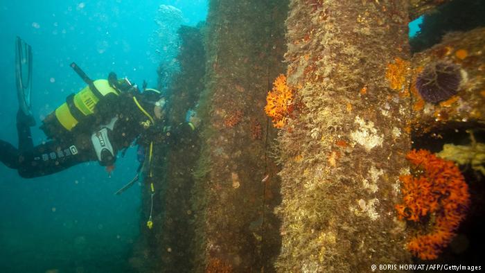 Artificial reefs and scuba diver underwater (BORIS HORVAT/AFP/GettyImages)