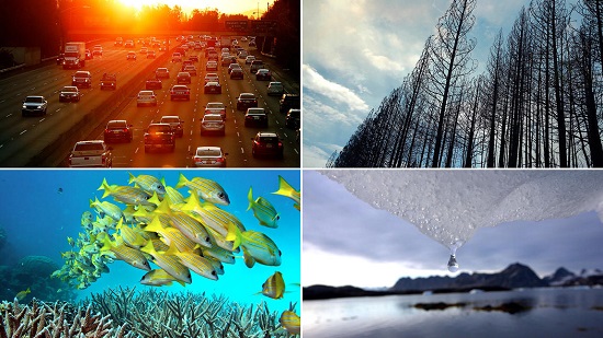 Climate Change Impacts
