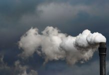 Ireland ranks low globally on biodiversity and climate record, finds report