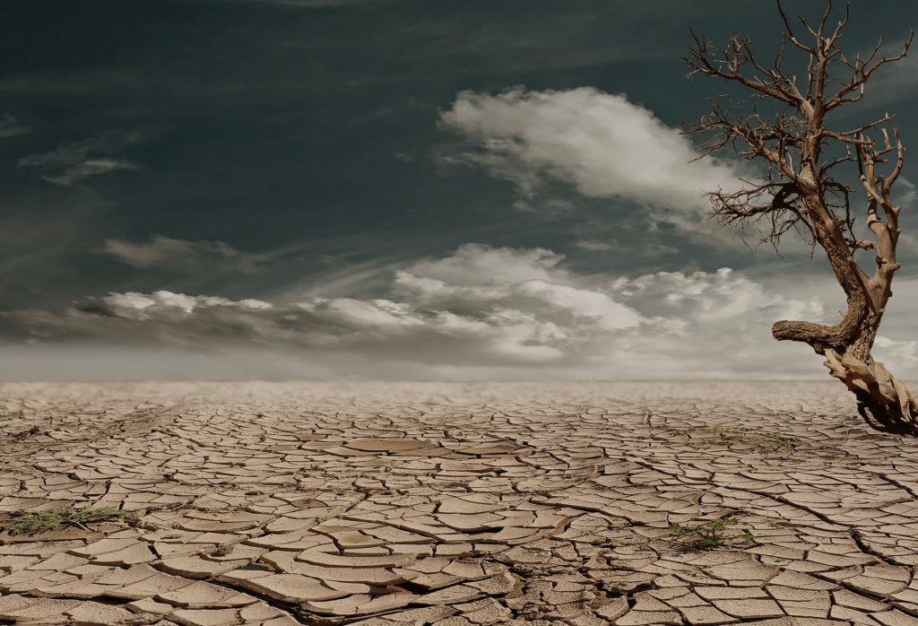 Desert Drought Photo: Pixabay