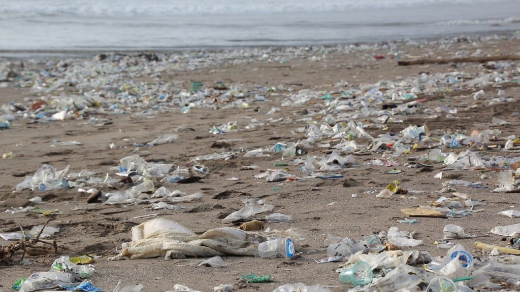 ocean coast plastic waste pollution