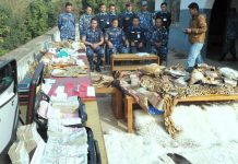 Wanted wildlife trafficker arrested in Nepal earlier this month