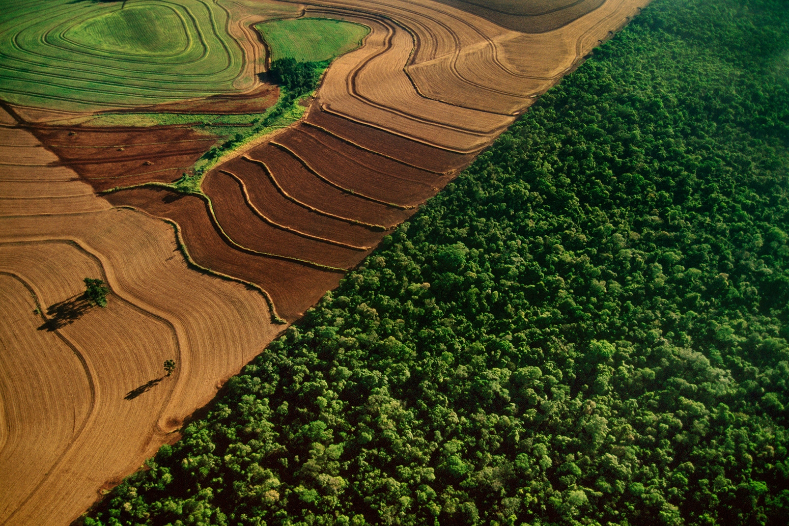 BFAE3H Cropland bordering rainforest habitat (aerial), Iguacu National Park, Brazil. C