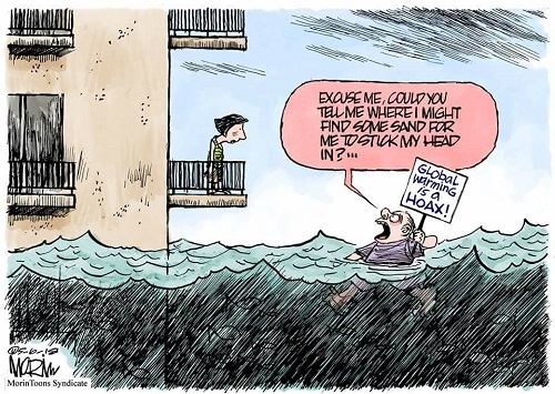 2018 Toon 20