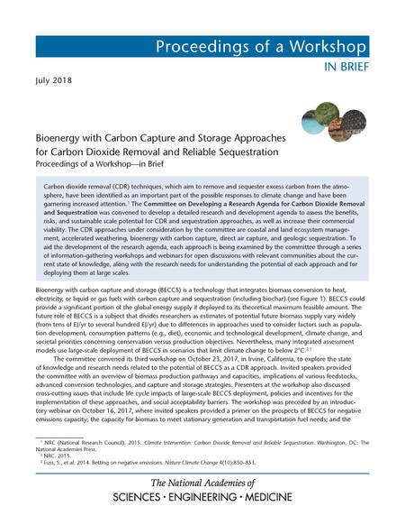 BECCS Report NAS July 2018