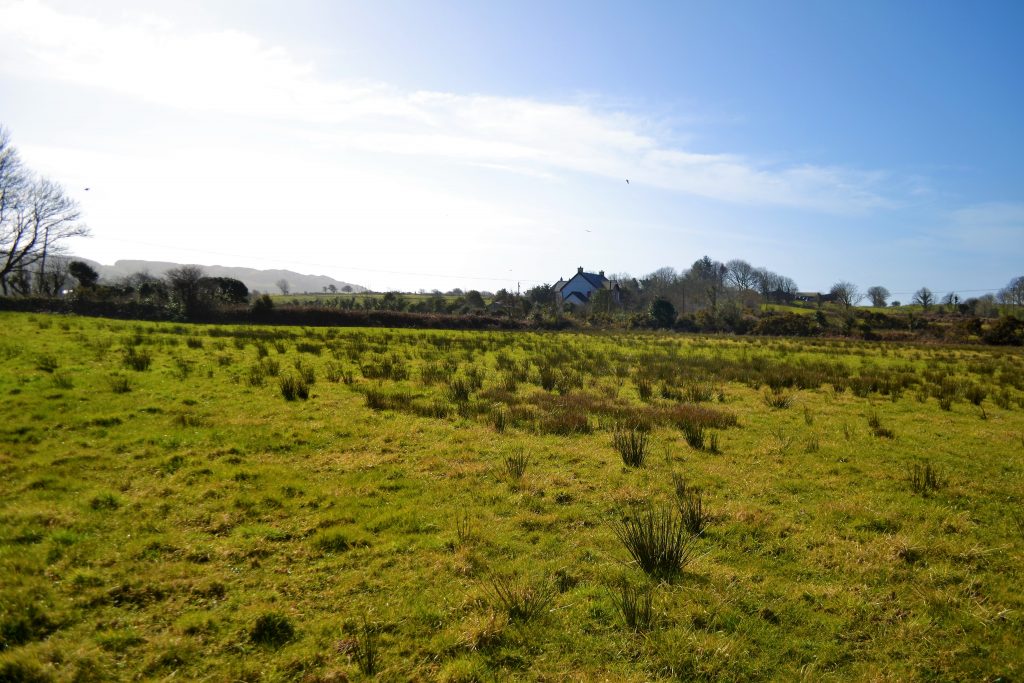 Proposed factory site. Poundlick was part of Skibbereen&rsquo;s green belt until it was rezoned to an industrial area in early 2016  Photo: Shamim Malekmian 