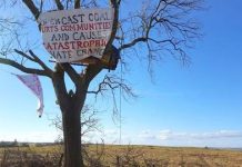 ‘The Law Will Protect a Species, But not its Ecosystem’ — Fighting for Wildlife at the UK’s Newest Coal Mine