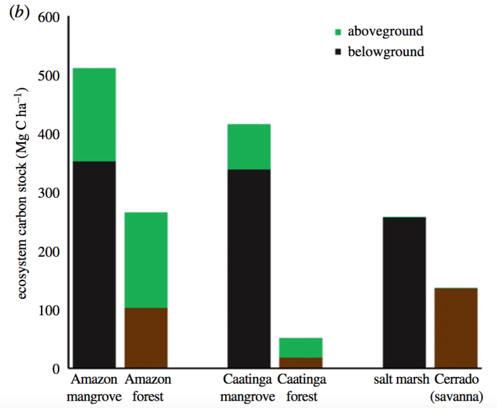 Stacked bar chart showing Estimated carbon stock in tonnes per hectare in Amazon mangroves and forests, “Caatinga” (desert-like) mangroves and forests, salt marshes and “Cerrado” (savannah) ecosystems. Green shows the results for aboveground carbon, brown shows the results for shallow belowground carbon and black shows the result for deep belowground carbon. Source: Boone Kaufmann et al. (2018)