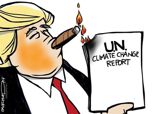 2018 Toon 41