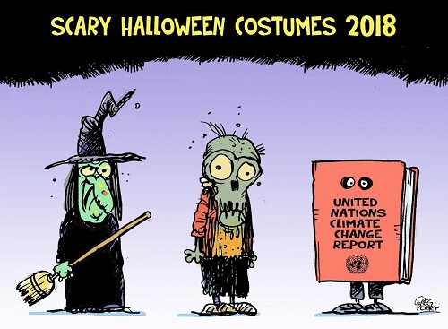 2018 Toon 43