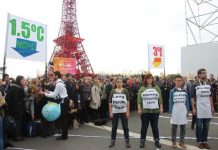 Campaigners Respond to ‘Game Changing’ IPCC 1.5°C Report