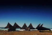 Just Transition: Exploring Life Beyond Fossil Fuels