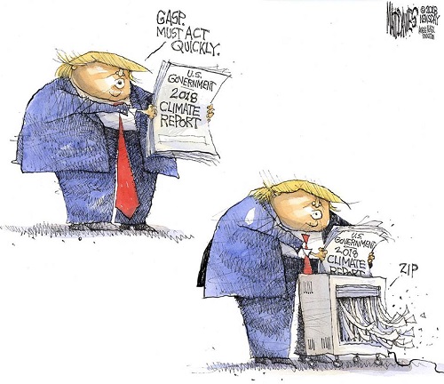 2018 Toon 48