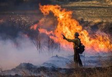 Analysis — The Climate Change Act 10 Years On: A Decade of Denialism in Retreat