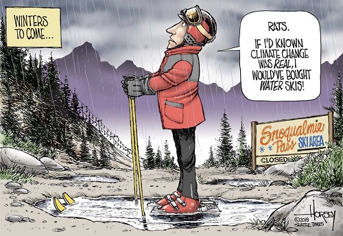 2019 Toon 1