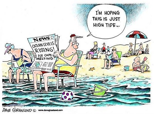 2019 Toon 2