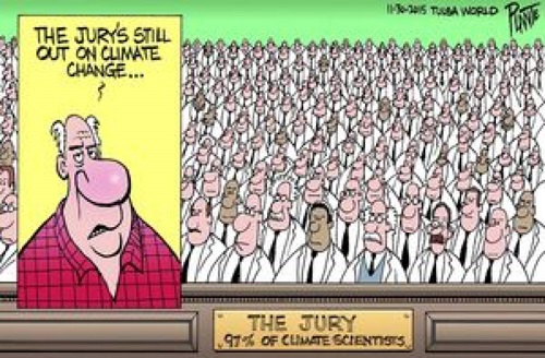 2019 Toon 8