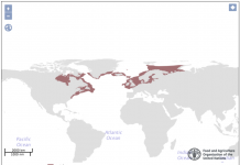 Ocean warming has caused ‘sustainable’ fish stocks to drop by 4% since 1930s