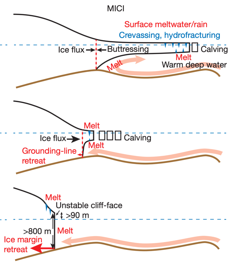 Illustration of the marine ice-cliff instability process. The top stage shows the “buttressing” effect of the ice shelf, which is then weakened in the middle stage as the ice shelf disintegrates, leaving the cliff-face of the glacier exposed to warm ocean water in the bottom stage. Source: DeConto & Pollard (2016)
