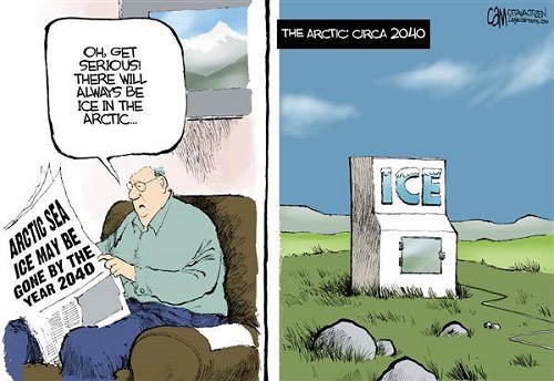 2019 Toon 15