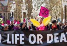 Two Weeks of Extinction Rebellion — In Pictures