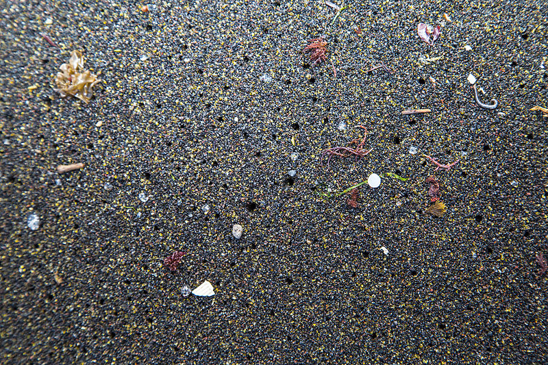 Microplastics in the Azores Photo: Raceforwater