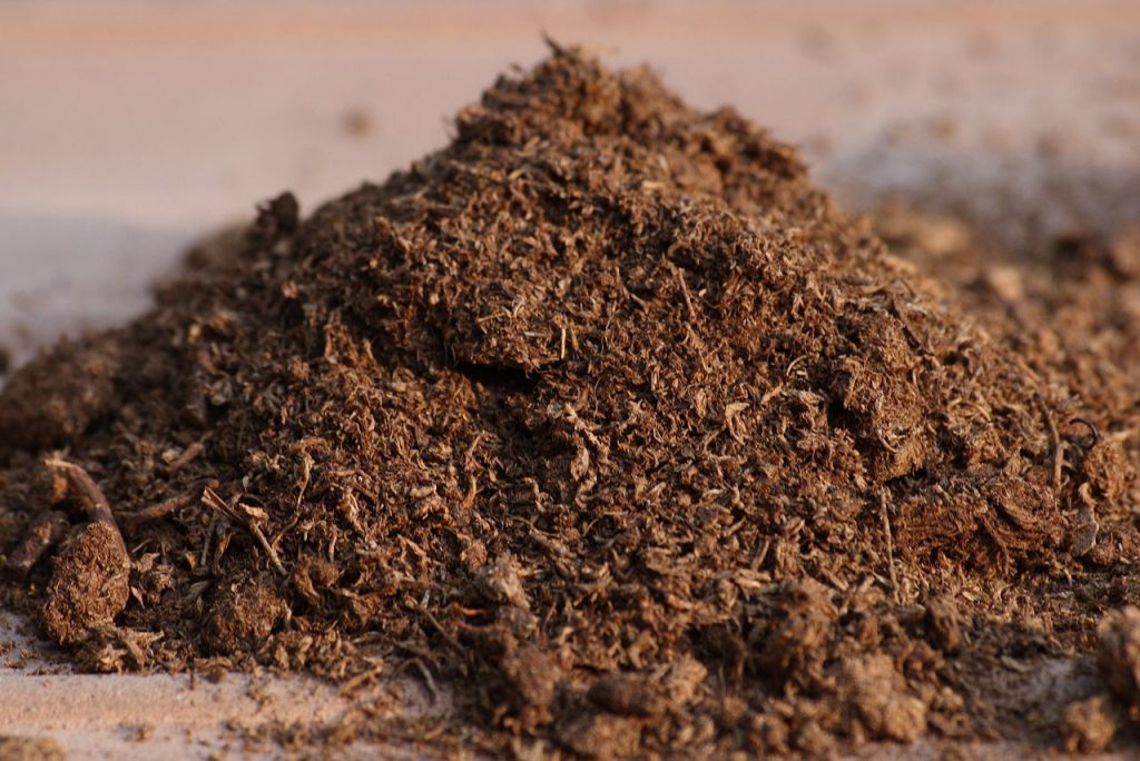 Canadian Sphagnum peat moss Photo: Ragesoss