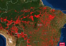 Big Phil backs Mercosur to rein in Bolsonaro on climate