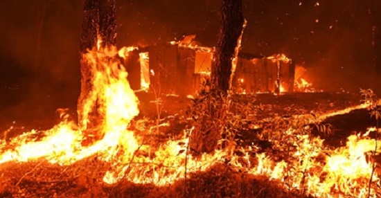 Bushfire in Australia Dec 2019