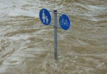 ‘Uninsurable and Unhedgeable’: Central Banks Warn of Financial Crisis from Climate Change