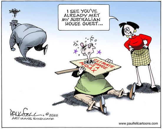 2020 Toon 6