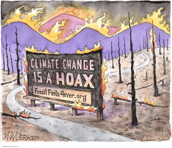 2020 Toon 7