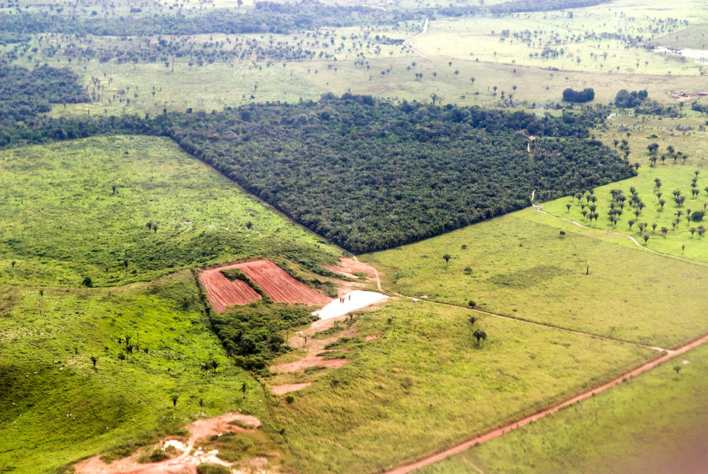 Aerial view of deforestation in the Amazon rainforest, near Bel&eacute;m, Brazil. Credit: Sue Cunningham Photographic / Alamy Stock Photo. E01WJH