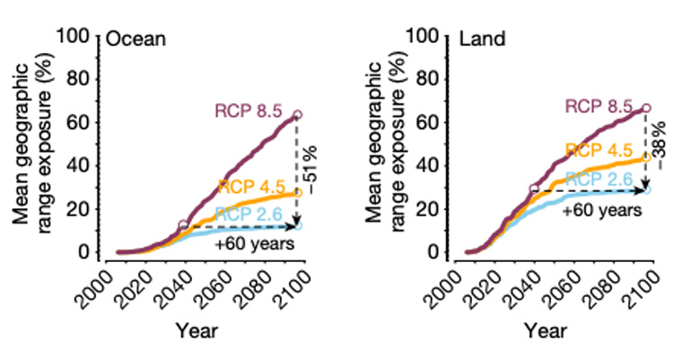The projected percentage of ocean (left) and land (ecosystems) exposed to intolerable temperatures under RCP2.6 (light blue), RCP4.5 (orange) and RCP8.5 (purple) from 2020-2100. Source: Trisos et al. (2020)