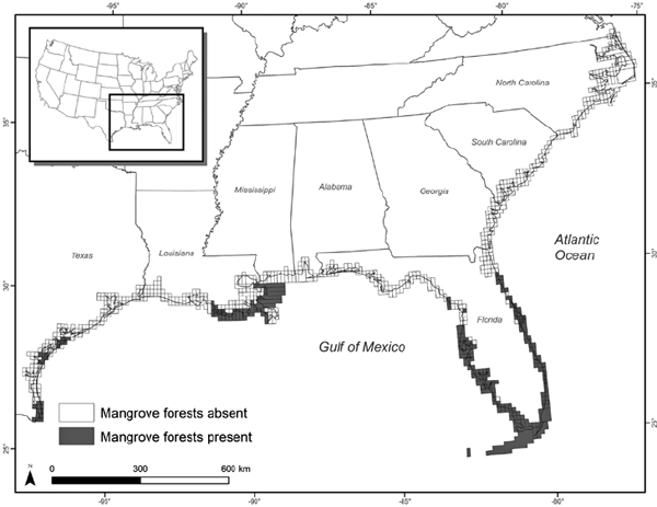 Southeast coast mangroves