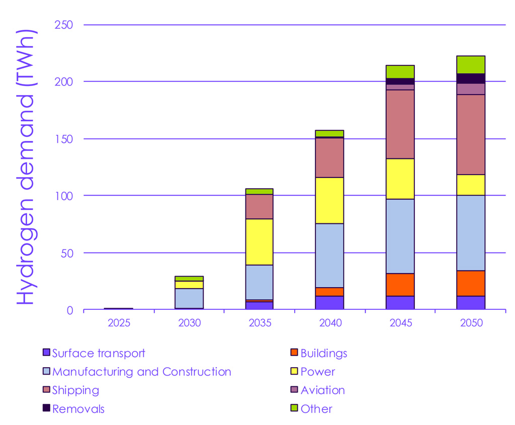 Hydrogen demands in the CCCs BNZ pathway up to 2050