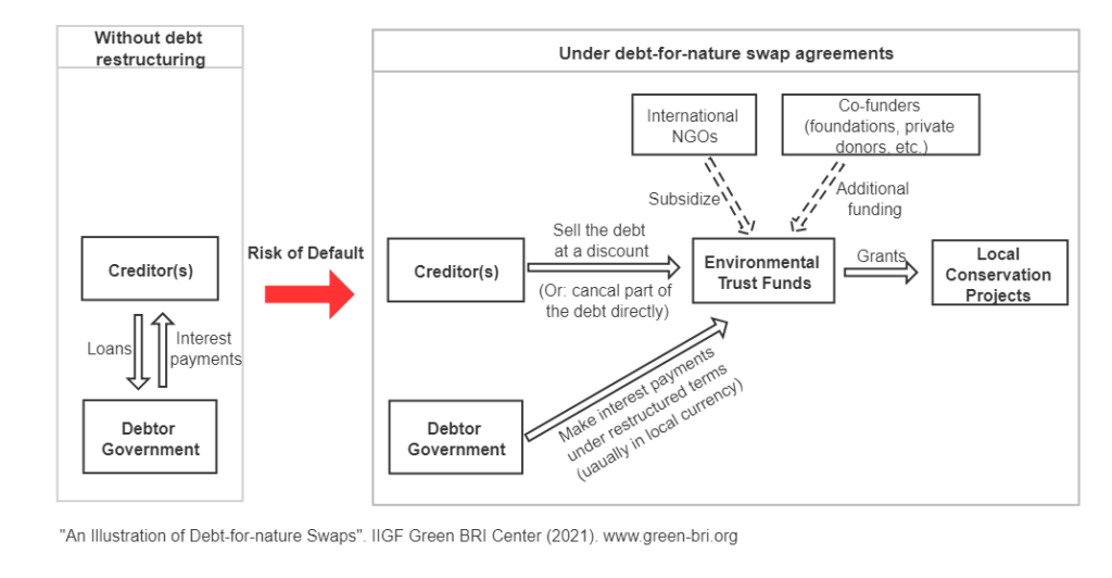 An Illustration of debt-for-nature swaps. By restructuring the debt, creditors could receive some payback by selling the debt at a discounted rate to an independent environment trust, which finances local conservation projects. Debtor country governments would also make interest payments under restructured terms to the environment trust. Additional funding could come from international NGOs and other co-funders. Such debt swaps have been implemented by sovereign bilateral creditors, multilateral development banks, such as the World Bank and IMF, as well as private creditors. Source: IIGF Green BRI Center (2021)