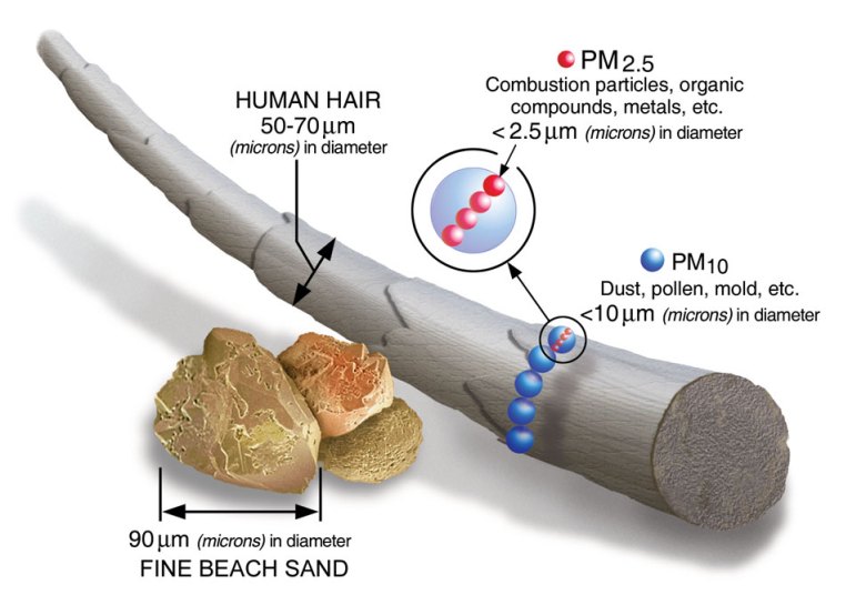 Particulate matter 2.5