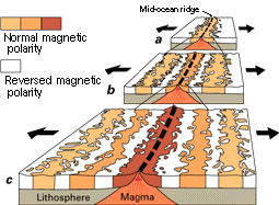 Magnetic stripes around mid-ocean ridges reveal the history of Earth's magnetic field for millions of years. The study of Earth's past magnetism is called paleomagnetism.