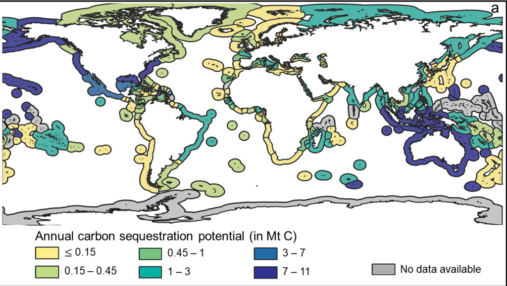 Global map of average annual blue-carbon sequestration potentials by country.