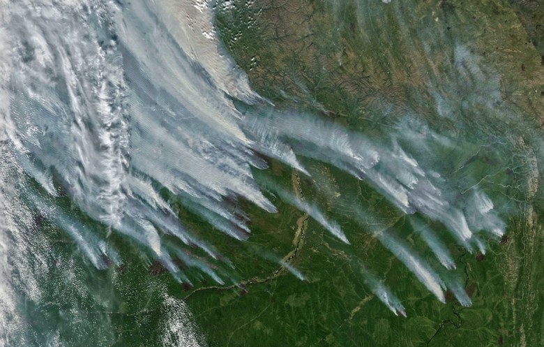 A satellite image of fires in Siberia.