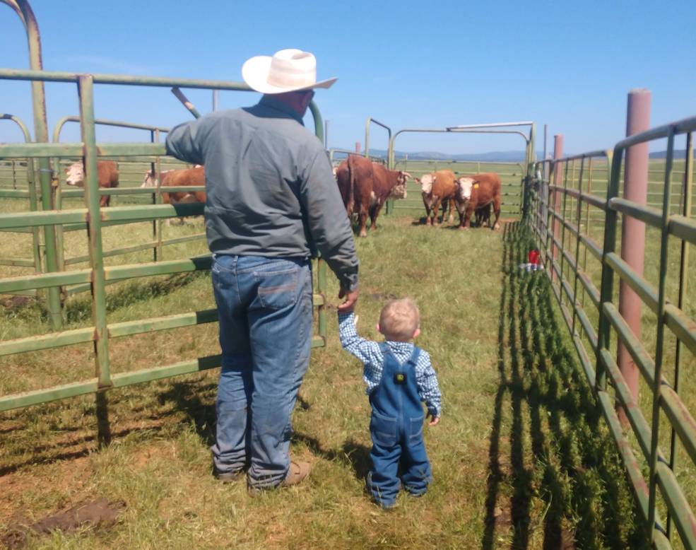 Tracy’s partner, Ryan Imbach (left), takes their son Colton (right) to the corral to check on the herd. The grass in the pasture where the Schohrs keep their cows during the winter was drying up.