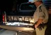 Florida man arrested for stealing sea turtle eggs