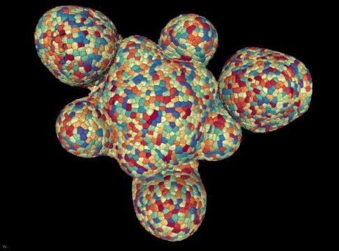 170123115121_1_540x360-c39a1373572b8789886676ee80edbc7110c866c8